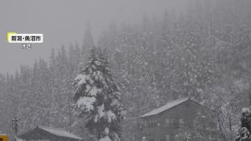 今季一番の寒さ…338地点で「冬日」　各地で今季最低気温を観測　都内では午前6時に行列も