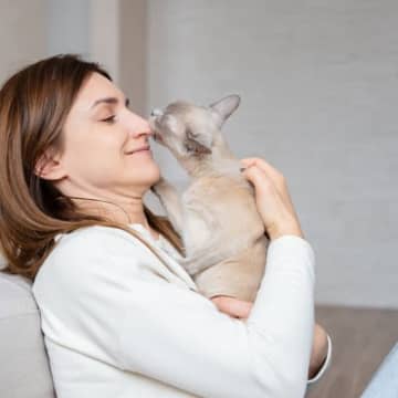 猫は『飼い主の体調不良』を察知できるの？寄り添ってくれる心理や仕草の意味とは