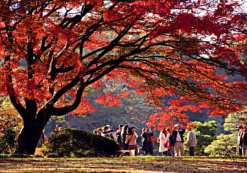 東京再発見・番外編「時季～秋景色～」文京区本駒込・六義園