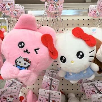 チェゴシム×サンリオキャラクターズ　200人以上が並んだポップアップを取材