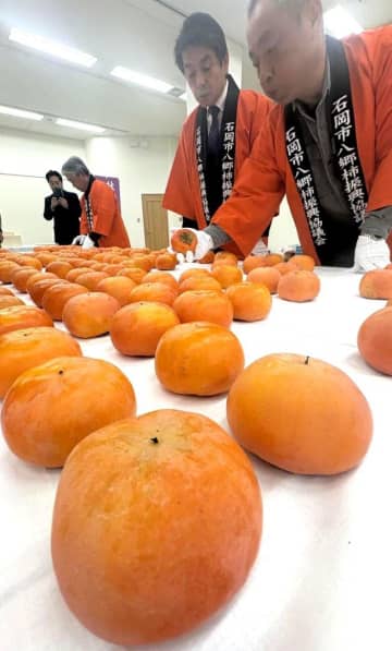 皇室献上の柿決まる　珠玉の72個　茨城・石岡