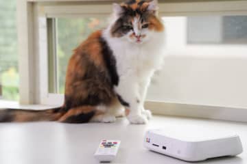 専用アプリで簡単にバックアップ、バッファロー「おもいでばこ」にスマホから写真を転送する