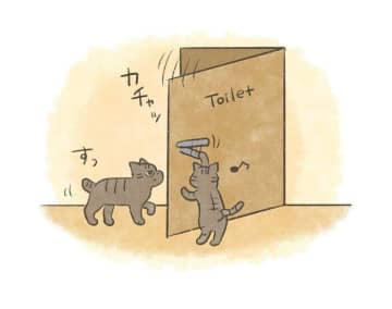 どんな扉も開けちゃう!?　新入り猫のイタズラ事件簿【連載】交通事故にあった猫を拾いました#233