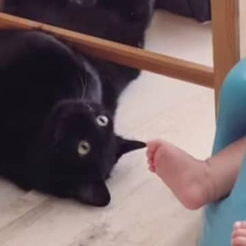 赤ちゃんが繰り返し"しゃっくり"をしていると、『近くにいた黒猫』が…思わず笑顔になる『優しい瞬間』に反響「癒される時間」「なんか良いな」