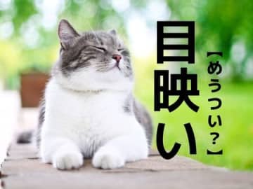【目映い】なんて読む？「めうつい…？」ではありませんよ！【読めそうで読めない漢字クイズ】