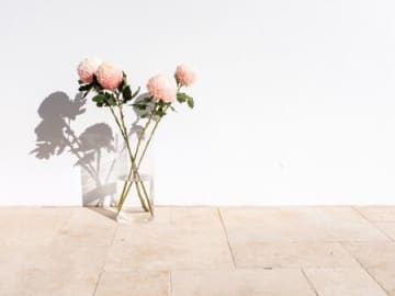 11月20日（木）今日は「重なる」の警戒日！コレをするのは細心の注意が必要です