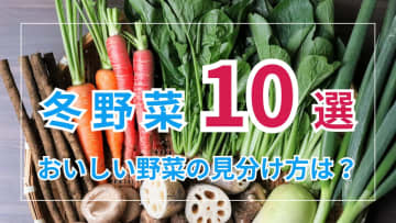 旬を迎え寒くなるごとに甘みが増す冬野菜10選！おいしい野菜の見分け方は？