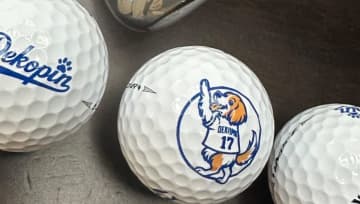 大谷翔平、デコピンが描かれたオリジナルゴルフギアを公開　クラブには大谷とハイタッチするイラストも