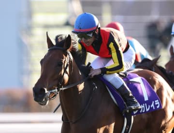 「ベリーベリーホース」格の違いを見せつけたレガレイラ　冷静な騎乗が光った戸崎圭太騎手の手腕【エリザベス女王杯】