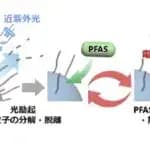 環境浄化と資源循環を両立する新たなPFAS分解技術　立命館大学が開発