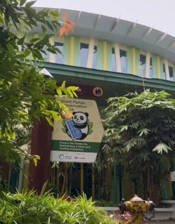 中国からパンダの「チェンシン」と「シャオユエ」がマレーシア到着、あっと言う間に人気者に