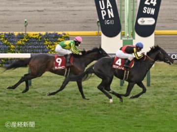 【東京スポーツ杯２歳Ｓ】複勝率37％！１～３着を独占することもある最有力ステップは？ステップレースから見る過去10年の傾向