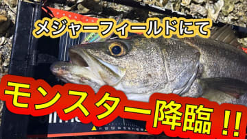 「ヒットルアーはコレです」ランカー降臨！東京ベイエリアでコノシロ祭り開幕か！？【週刊・東京湾シーバス情報】
