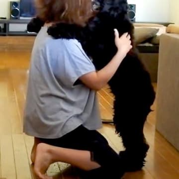 近所で救急車のサイレンが鳴った結果、犬が怖がり…まるで子供のような『ママに助けを求める光景』が7万再生「めちゃ可愛いｗ」「抱きしめたい」