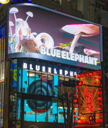 韓国発アイウェアブランド「BLUE ELEPHANT」新宿にフラッグシップストアがついにオープン！