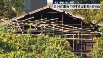 乗馬クラブの馬小屋3棟全焼、馬3頭死ぬ　埼玉・狭山市