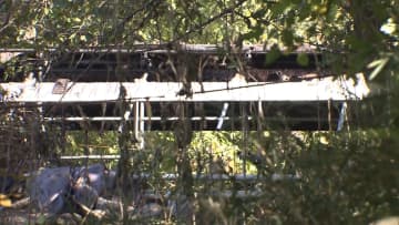 馬3頭が焼け死ぬ…50頭飼育の厩舎から火が出て３棟が全焼し複数の馬がやけど　暖房器具は使用せず　埼玉・狭山市