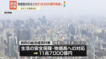 政府の総合経済対策、約21兆3000億円の見通し　あすにも閣議決定