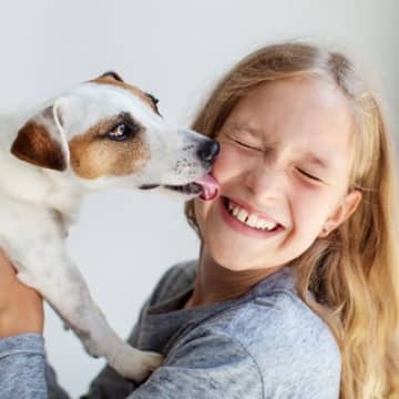 犬に『顔を舐められる』と起こりうるリスク4つ　感染する病気や症状、やめさせる方法まで