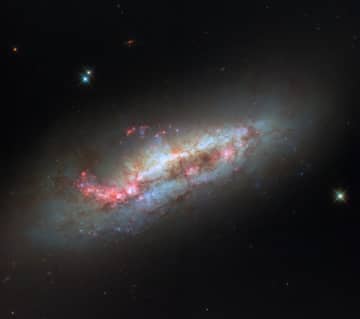 ハッブル宇宙望遠鏡が観測した“みずへび座”の渦巻銀河「NGC 1511」