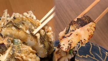 “海の隠れた至宝”ウツボを小田原の名物に　「まろやかでやわらか」天ぷらに握り寿司…地元飲食店がメニュー考案しフェア開催