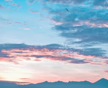 今日の運勢は？ ★11月21日（金）12星座占いランキング！ 第1位は獅子座（しし座）！ あなたの順位は何位…!?