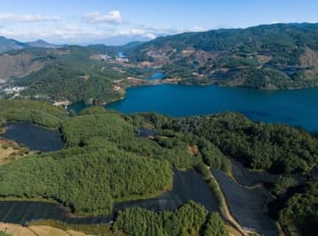 日本にも輸出、ワサビ栽培で農家の増収をバックアップ―雲南省保山市