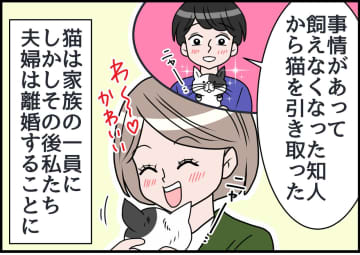 愛猫を連れて離婚。でも「実は、その猫──」知人から告げられた【残酷な真実】に「えぇっ！？」