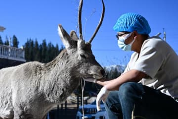 祁連山の施設で希少動物235匹を保護　中国青海省