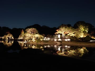 紅葉で彩られた夜の六義園がライトアップ！「庭紅葉の六義園 夜間特別観賞」が11月28日～12月9日に開催