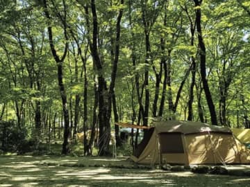 天然温泉に入れる！絶対に行きたいキャンプ場15選【栃木県2025年版】