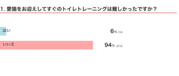 【調査】猫のトイレトレーニングがうまくいかない理由とは？　獣医師が教える「見直すべきポイント」