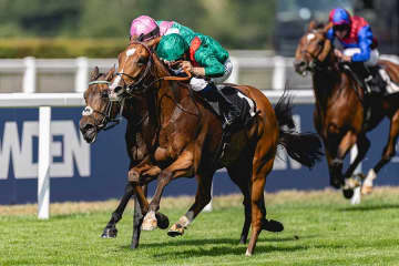 「JC来てくれるのヤバい」競馬界に飛び込んできた衝撃ニュース　「こんな馬が…」参戦の事実に驚き