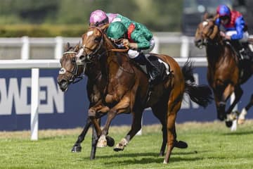 深夜の一報に日本ファン騒然「本当に来た」「風格あるなあ」　欧州最強馬、暗闇の東京に降臨