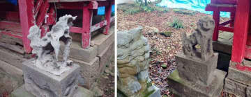 大分・国東半島の〝風化しすぎてる狛犬〟に11万人驚がく　「何年かかったんだろう」「ちょっとしんみり」