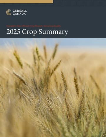 Cereals Canada、2025年新小麦作柄報告（2025 New Wheat Crop Report）を発表