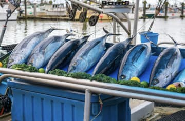 現在の状況下では、日本の水産物は中国市場での販売が見込めず―中国外交部