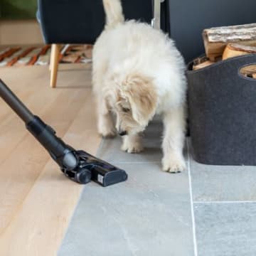 犬のストレスになりうる『生活音』4つ　怖がってしまう原因や対策のコツも解説