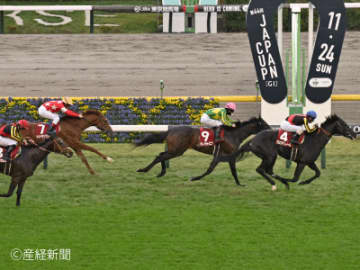 【東京スポーツ杯２歳Ｓ】勝負を左右する！？勝利に必要な距離経験とは！？前走距離で見る攻略POINT