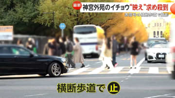 「車来てます！下がって！」神宮外苑イチョウ並木に“映え”求め殺到…赤信号の横断歩道や車道中央でも撮影　六本木“イルミ”は警備員増員