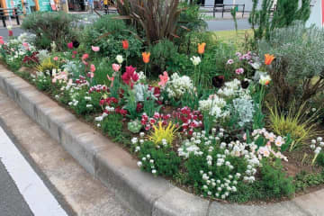 どの季節も花を楽しめる【街のボランティア花壇】剪定枝や抜いた花の再利用アイデアも公開！