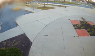 食堂で朝食を準備していた中学生。そこに"ある動物"が突っ込む→騒然となる現場をカメラが記録