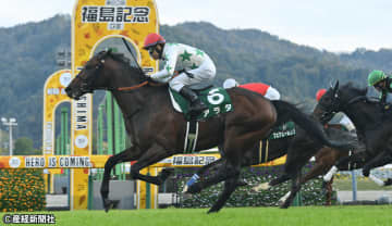 【福島記念】混戦気味だが穴狙いは危険？ 過去10年の傾向から見える人気と配当