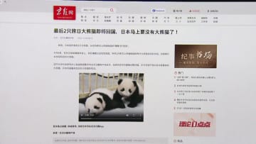中国メディア「日本でパンダが見られなくなる」専門家の“貸し出し停止”見解報道…中国SNSで検索ランキング1位に