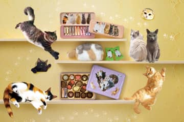 メリーチョコレート「ねこみゃみれ」26年バレンタイン、“もふもふ”三毛猫ポーチ付きチョコ＆猫缶など