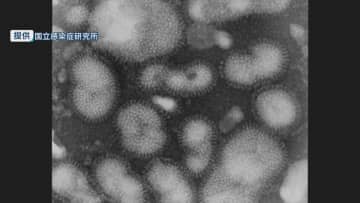 全国のインフルエンザ感染が「警報レベル」前週比1.7倍「37.73人」に　13週連続で増加　学級閉鎖・休校も急増