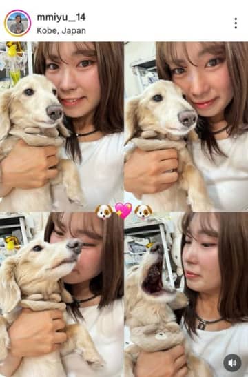 人気のドラコンプロ・松浦美侑が悩みを告白 「カメラ目線になってくれないイッヌ どやったらカメラ向いてくれるん？？」