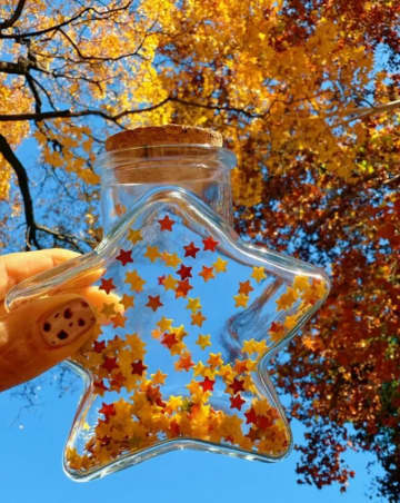 星の落ち葉ボトルに魔法使いの帽子、北京で初冬の落ち葉アートが話題に―中国