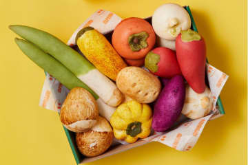 “野菜そっくり”韓国発もち米パン「ジョンナンミミョンガ」期間限定で渋谷に、新感覚のもちもち食感