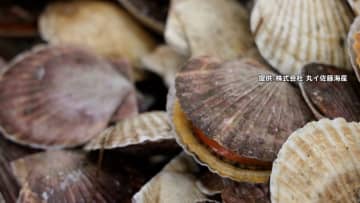 中国の水産物輸入停止172社に影響の可能性…中国向け販売額は平均47.8％　帝国データバンク